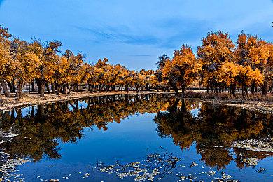 樱井对《任天堂明星大乱斗X》动画泄露仍耿耿于怀